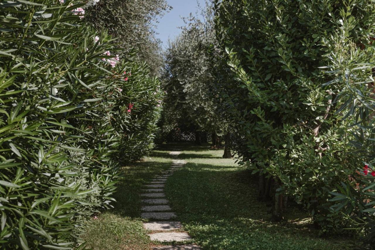 App. Mimosa Minerva Holiday Home Manerba del Garda Esterno foto
